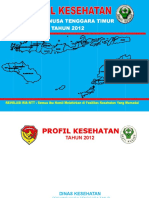 19_Profil_Kes.Prov.NTT_2012.pdf