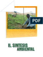 4 Sintesis Ambiental.pdf