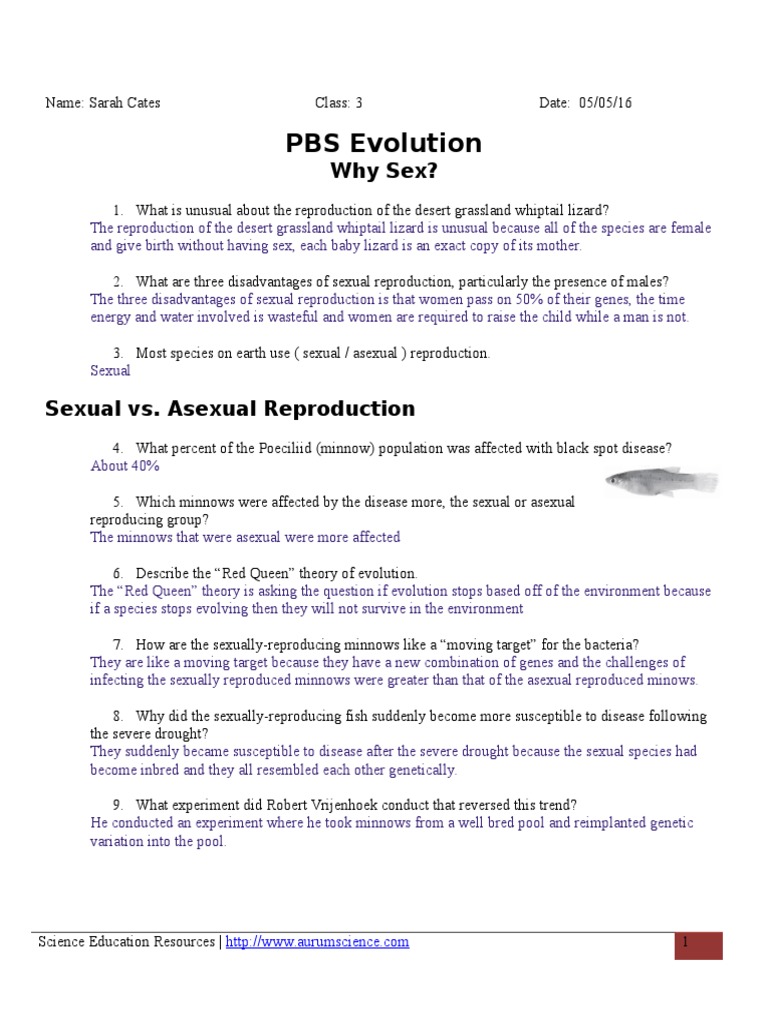 Whysex Evolution Reproduction