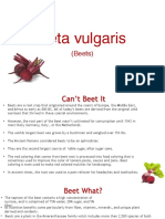 Beta Vulgaris Finald