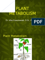 Plant Metabolites UB.ppt Dr