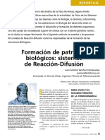 Formacion de Patrones Biologicos - Reaccio Difusion - 08a_Rep_Patrones_MN3