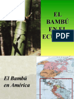 El Bambu en El Ecuador