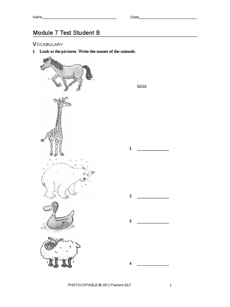 Module 7 Test Student B: Ocabulary | PDF