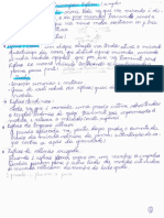 Principais Reflexos Fisiologia.pdf