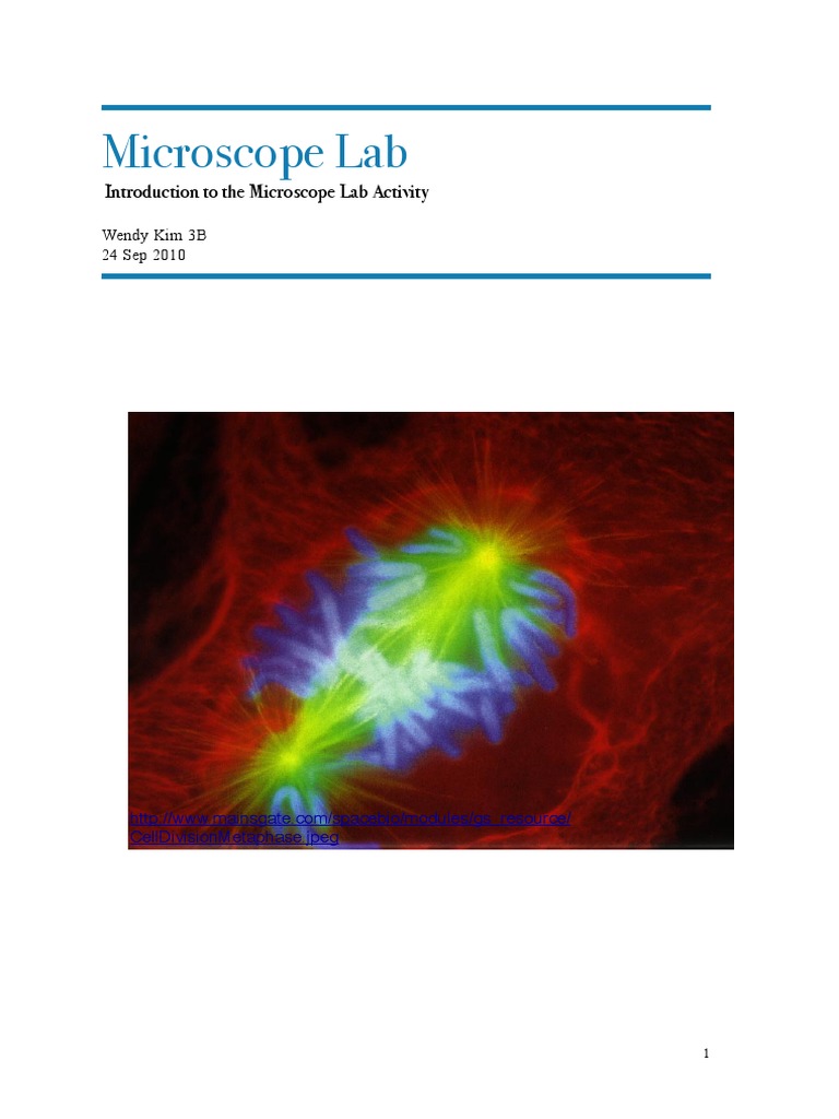 Microscope Lab Report Microscope Electron Microscope