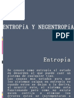 Entropia y Negentropia