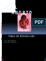 Diapositivasdeexposiciondelaborto 100616175403 Phpapp01