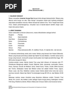 Download Budidaya mawarpdf by Kryzstal SN313401710 doc pdf