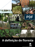 Definição de floresta: a visão da FAO versus os povos da floresta