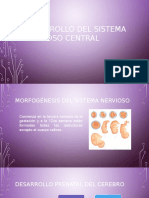 Desarrollo Del Sistema Nervioso Central1