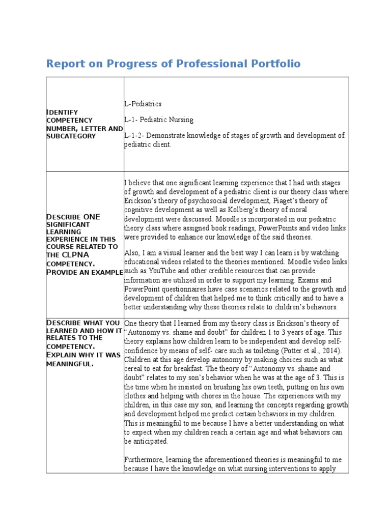 Portfolio assignment template image