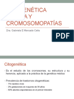 Cromosomopatias 