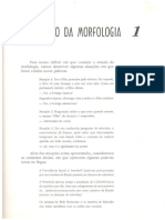 O Estudo Da Morfologia PDF