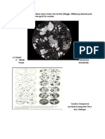 ANALISIS PETROGRAFI