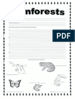 Rainforest Worksheet-What Where