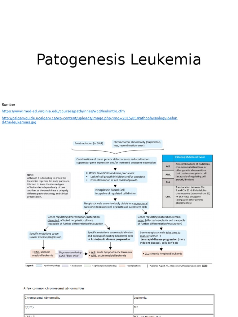 Patogenesis dan Jenis Leukemia | PDF