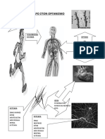 ΑΠΟ ΤΟ ΚΥΤΤΑΡΟ ΣΤΟΝ ΟΡΓΑΝΙΣΜΟ PDF