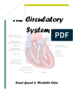 The Circulatory System