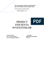 Proiect Eficienta Investitiilor