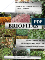 Briofitas Jucara Bordin PDF