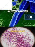 Bacillus Subtilis PDF