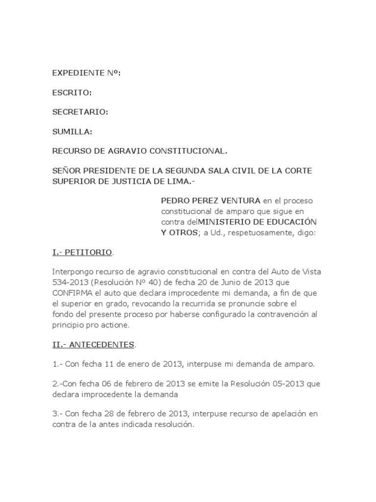 Modelo de Recurso de Agravio Constitucional - Accion de Amparo | PDF | Ley  procesal | Salario