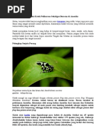 Katak 2