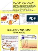 Fisiopatología Del Dolor