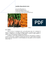 Identificare carotenoide