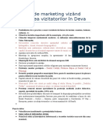 Plan de Marketing Vizând Atragerea Vizitatorilor În Deva