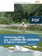 Cultivo Cachama PDF