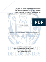 tesis. diseño de riego.pdf