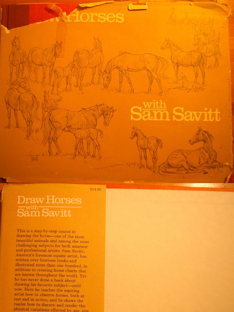 Draw Hoses With Sam Savitt | PDF