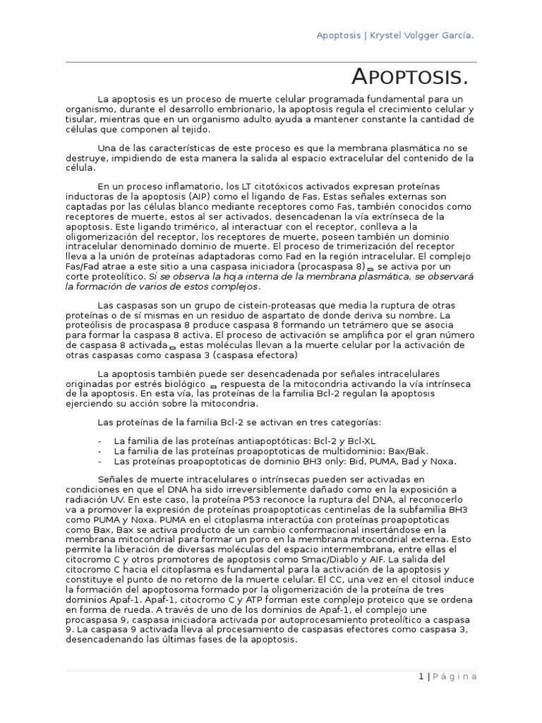 Apoptosis Vía Intrinseca y Extrinseca | PDF | Bcl 2 | Apoptosis