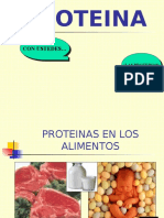  Proteinas y Enzimas 