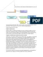 Anestesia Odontológica