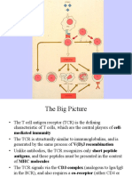 8_Cell Mediated Immunity