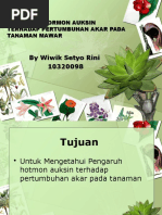 Download Pengaruh Hormon Auksin Terhadap Pertumbuhan Akar Pada Tanaman by anon_748498606 SN313505177 doc pdf