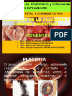 Placenta y La Expo