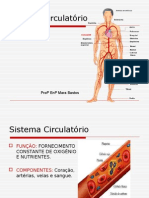 Slides Sistema Circulatorio