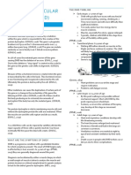 Duchenne Muscular Dystrophy Information Sheet