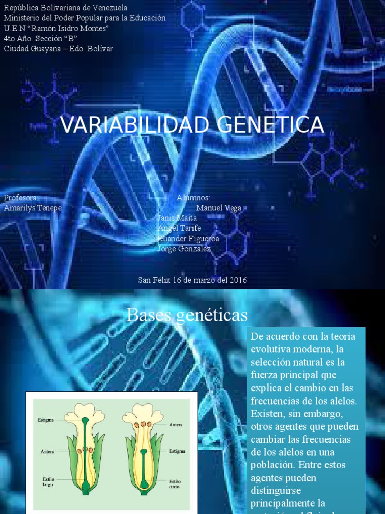 Variabilidad Genetica | PDF | Genética | Biología Molecular