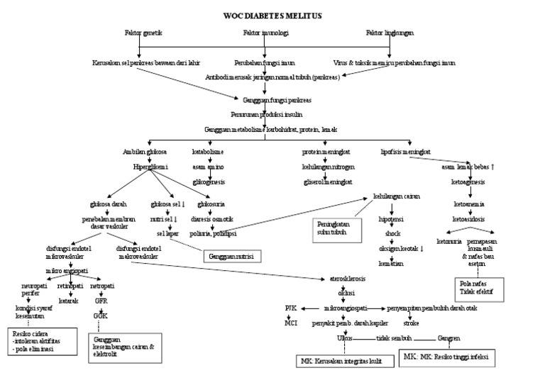 Woc Diabetes Melitus