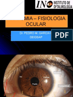 2.Anatomia Fisiologia Ocular