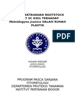 Respon Ketahanan Rootstock Tomat SC 6301 Terhadap Plastik: Meloidogyne Jvanica DALAM RUMAH
