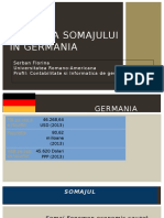 Macroeconomie Evolutie Somaj Germania