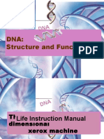 IT 3 - Struktur Dan Fungsi DNA - SN