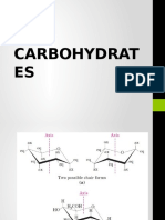 Carbohydrate Postlab