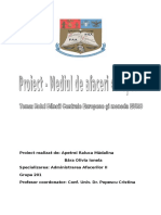 Proiect Mae